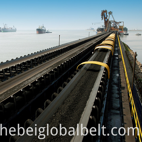 Port Belt Conveyor1